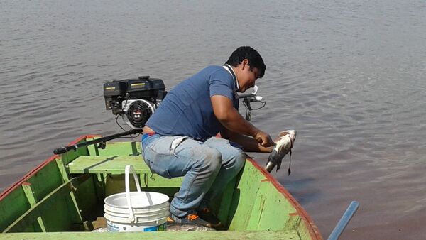 En Remanso ofrecen últimos pescados antes de la veda: Así están los precios por kilo