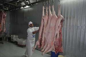 Paraguay: exportación de cerdos supera cifras del año pasado - Nacionales - ABC Color
