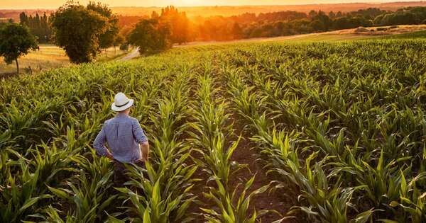 La Nación / El Partido Colorado respalda a los productores