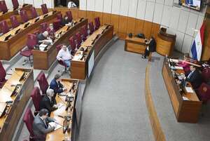 Analizarán eliminación de podrida comisión “garrote” - Política - ABC Color