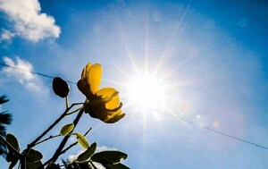 Meteorología pronostica un lunes caluroso y con lluvias dispersas en algunas zonas – Prensa 5