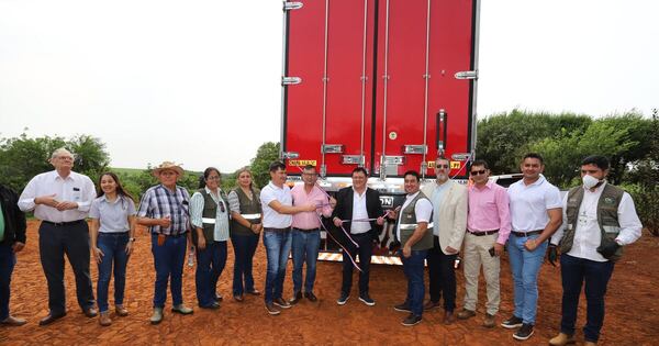 La Nación / Zanahoria y tomate a Argentina: inicia dinámica de envíos constantes