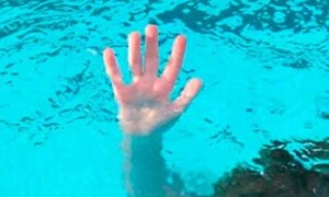 Niña de 5 años muere ahogada durante un evento familiar – Prensa 5