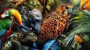 Animales, comida y extinción - El Independiente