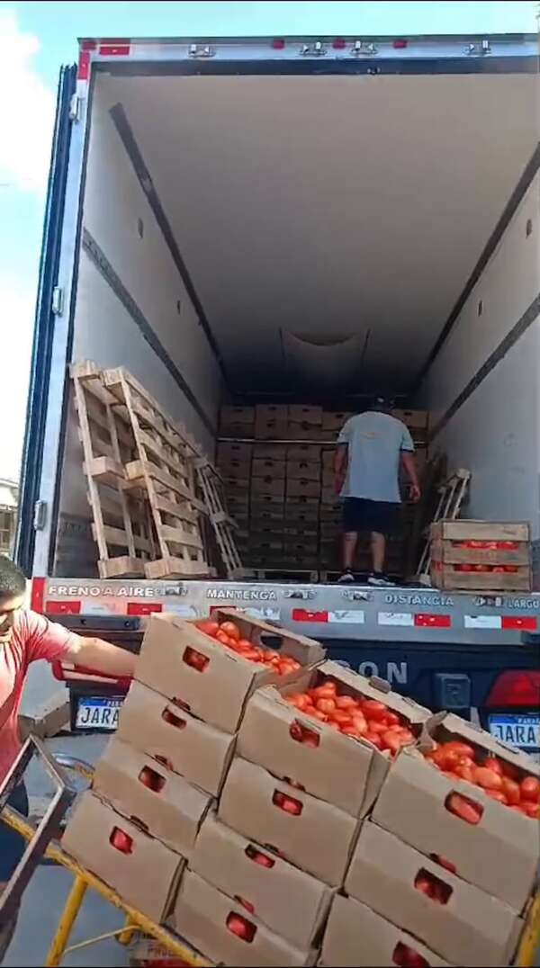 Exportación de tomate a Argentina es un “logro histórico”, resalta gremio - Nacionales - ABC Color