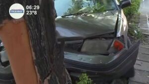 Automóvil chocó contra árbol del paseo central - SNT