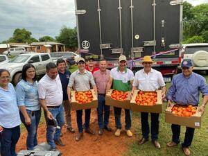 Nuevo hito para la producción nacional: Se concreta primera exportación de tomates a Argentina luego de siete décadas - MarketData