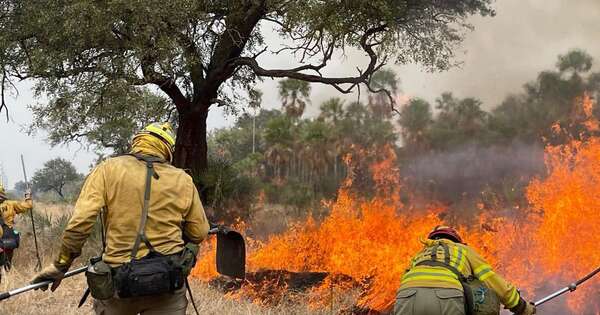 La Nación / Bomberos Voluntarios recibirán premio “Padres de la Patria” por labor en incendios en el Chaco