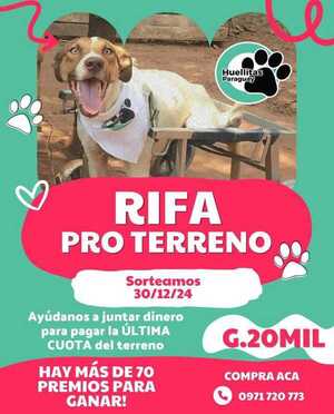 Refugio “Huellitas Paraguay” realiza rifa pro terreno - trece