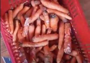Almuerzo escolar: directores acudirán a la Contraloría ante nueva denuncia por alimentos en mal estado - Nacionales - ABC Color