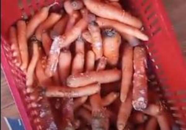 Almuerzo escolar: directores acudirán a la Contraloría ante nueva denuncia por alimentos en mal estado - Nacionales - ABC Color