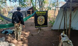 Despliegues contra el narcotráfico sacan de circulación 9 toneladas de marihuana en Bella Vista Norte.