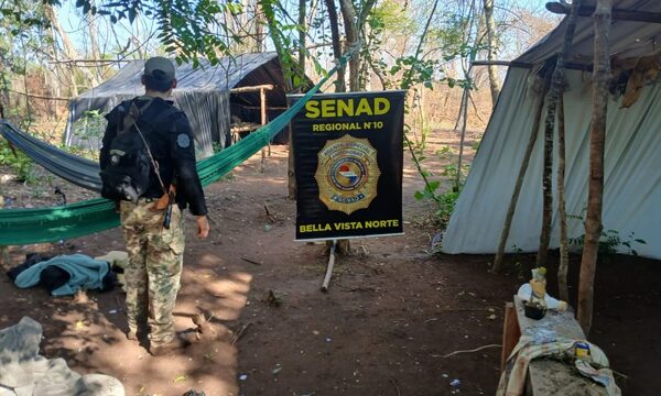 Despliegues contra el narcotráfico sacan de circulación 9 toneladas de marihuana en Bella Vista Norte.