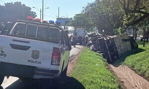 Camionero borracho tumbó en CDE