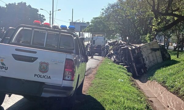 Camionero borracho tumbó en CDE