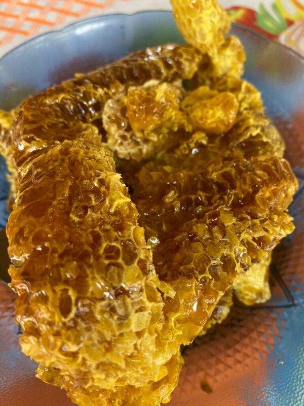 Promueven registro formal de la “Miel de Abeja de los Humedales de Ñeembucú” para potenciar su valor