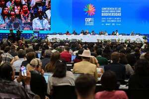 COP16 en Cali llama a evitar llegar al “punto sin retorno” - Ciencia - ABC Color