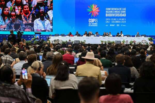 COP16 en Cali llama a evitar llegar al “punto sin retorno” - Ciencia - ABC Color
