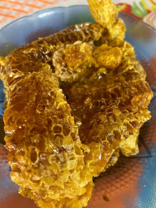 Promueven registro formal de la “Miel de Abeja de los Humedales de Ñeembucú” para potenciar su valor - ADN Digital