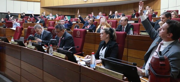 El Congreso Nacional remitió al Poder Ejecutivo la ley de control de la ONGs
