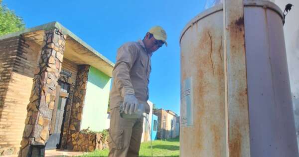 Diario HOY | “Todos los santos y fieles difuntos”: activan operativo antidengue