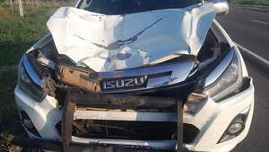 Comitiva de médicos se accidentaron sobre la Transchaco tras chocar contra una vaca