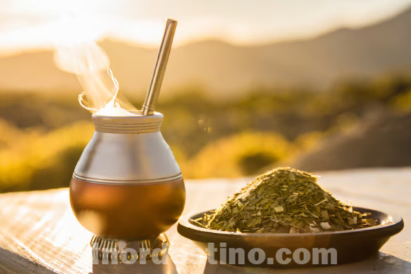 Yerba Mate: infusión popular de Paraguay con hierbas que calman los dolores estomacales y ayudan a aliviar la hinchazón - El Nordestino