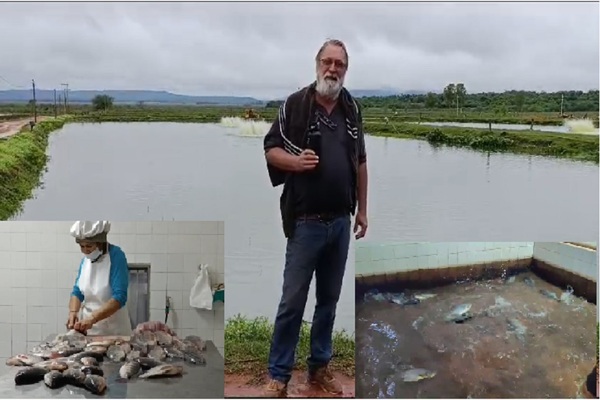 Cría de peces en estanques, en permanente crecimiento