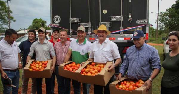Diario HOY | Tras envío de tomates a Argentina, apuntan al locote y repollo