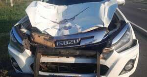 Diario HOY | Camioneta de Región Sanitaria choca contra una vaca en el Chaco