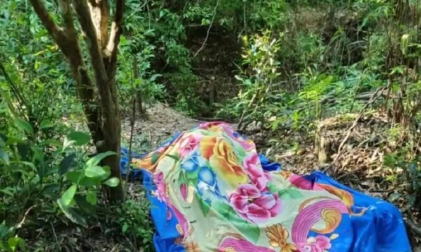 Asesinan de dos balazos a un hombre en San Pedro del Paraná – Prensa 5