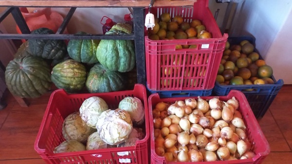 Empresa proveedora de almuerzo escolar rechaza publicaciones sobre calidad de productos que entrega a escolares