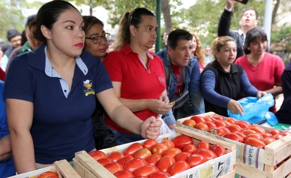 Organizan feria del tomate en varios puntos de central este viernes 18 de octubre