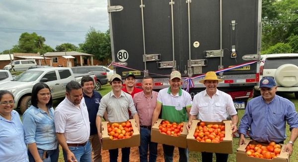 60.000 kilos de tomate paraguayo ingresan a la Argentina