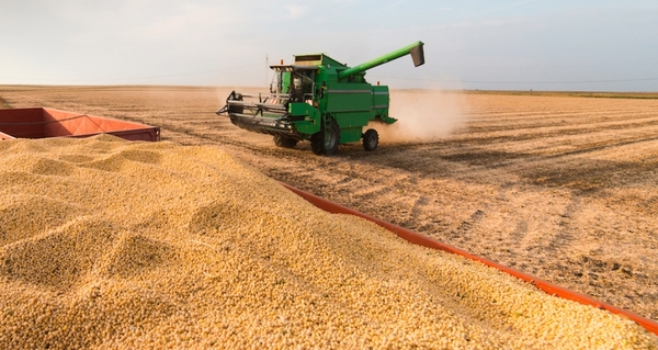 Agricultor recomienda monitorear precios de soja diario y empezar con venta escalonada