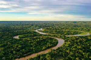 CAF anuncia programa de US$ 300 millones para proteger biodiversidad de Am茅rica Latina y el Caribe
