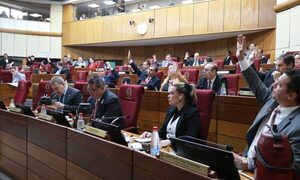 ONG deberán registrarse y rendir cuentas sobre fondos públicos