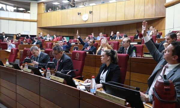 ONG deberán registrarse y rendir cuentas sobre fondos públicos