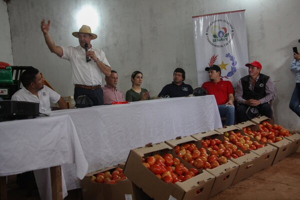 Paraguay apunta a convertirse en exportador de tomate - 1000 Noticias