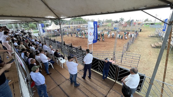 Especial Expo Amambay: lluvias, competencias, genética, mercado y ventas