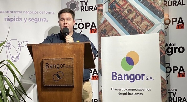 Bangor remata más de 1.000 vacunos de invernada de Forestal y Ganadera Don Pedro, este martes