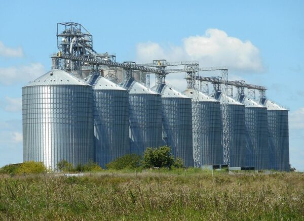 Cappro afirma que Paraguay perderá más de US$ 65 millones este año al exportar soja sin valor agregado