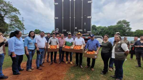 Histórico: agricultores de Caaguazú exportan tomates a Argentina