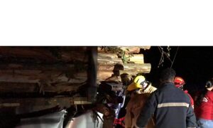 Camión que transportaba eucalipto chocó contra camioneta y murieron padre e hijo