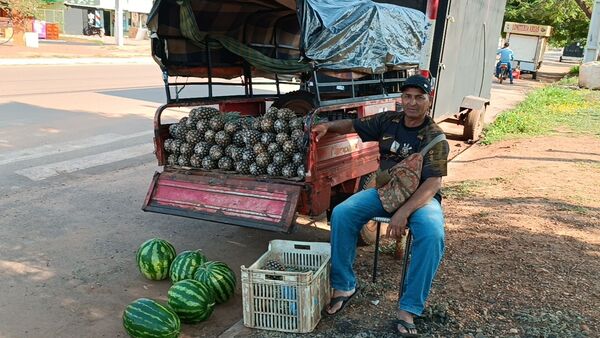 Venta de piña en el centro de Concepción