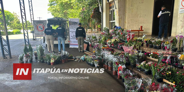INCAUTAN VEHÍCULO CON PLANTAS Y BULBOS DE ORIGEN BRASILEÑO - Itapúa Noticias