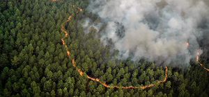 Brasil, Bolivia, Argentina, Perú y Paraguay: los países más afectados por incendios forestales en septiembre