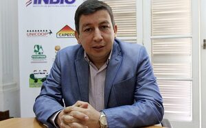 El sésamo atrae a nuevos productores por su resistencia y bajo costo, según titular de Capexse
