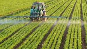 Paraguay apunta a exportar productos 100% industrializados y tendrá cosecha récord de trigo