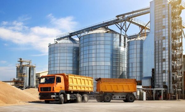 Exportación récord de soja sin procesar agrava la competitividad en la industria aceitera paraguaya